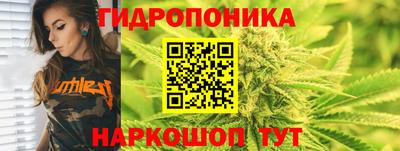 прущие крисы Краснодар