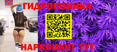 прущие крисы Краснодар