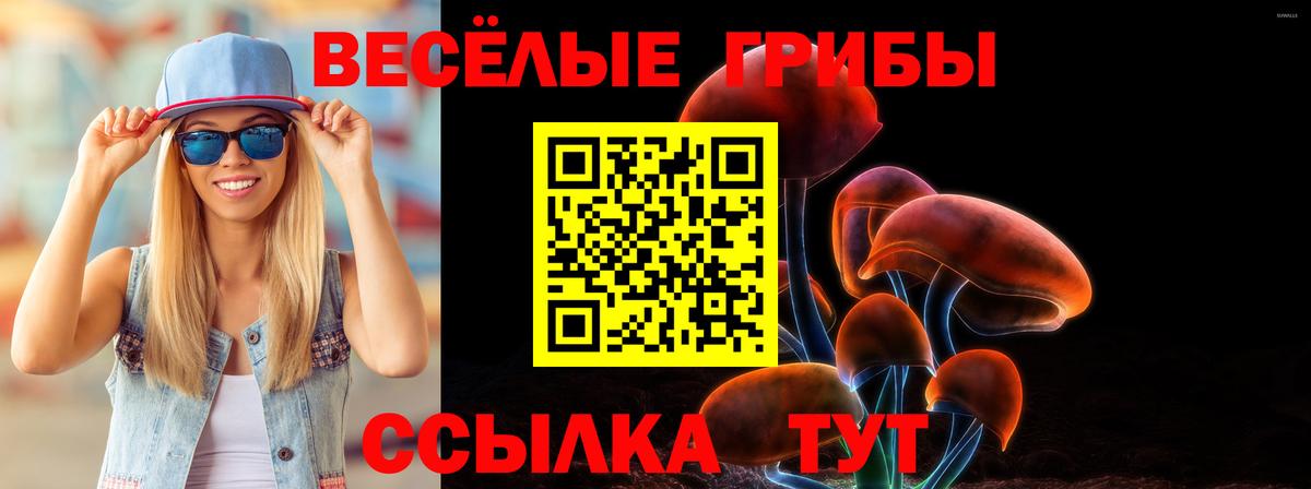 Псилоцибиновые грибы мицелий Карачаевск