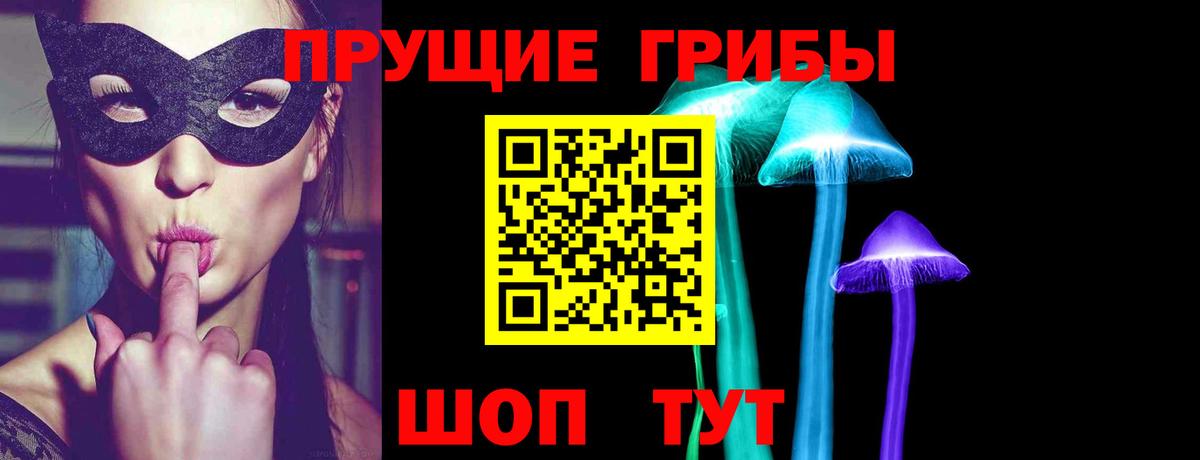 продажа наркотиков  Галлюциногенные грибы Cubensis  Карачаевск  Вход с VPN  Псилоцибиновые грибы прущие грибы 